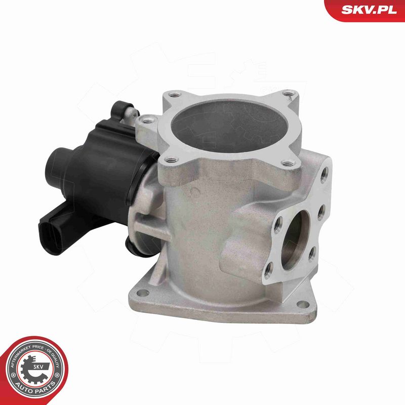 ESEN SKV 14SKV320 EGR Valve