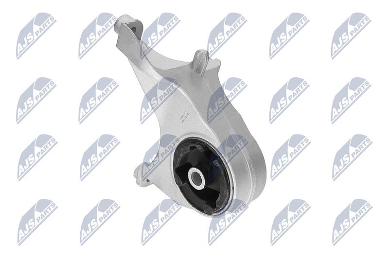 Paigutus, Mootor, NTY ZPS-CH-149