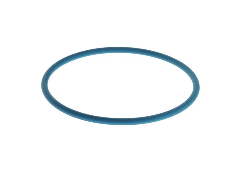 Inel cauciuc F 00N 204 925 BOSCH