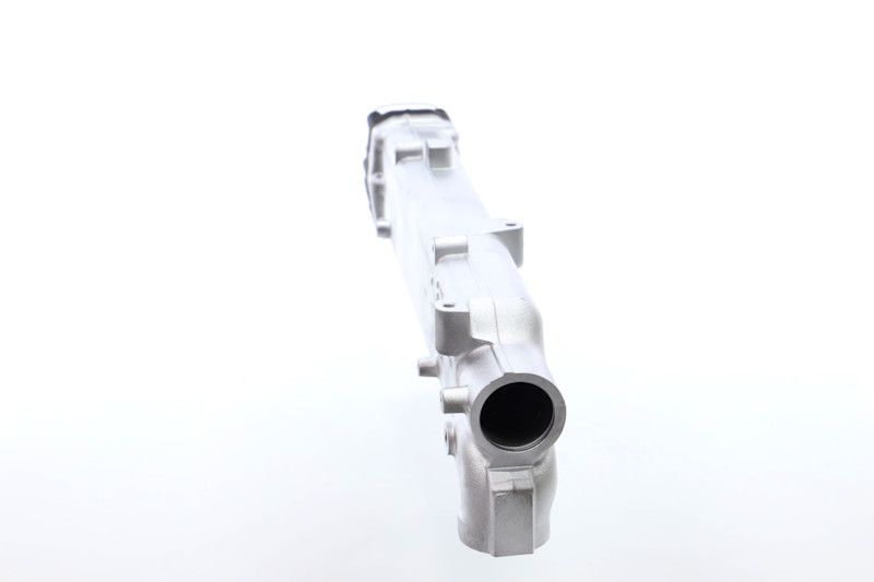 REMANTE 010-001-000003R EGR Module