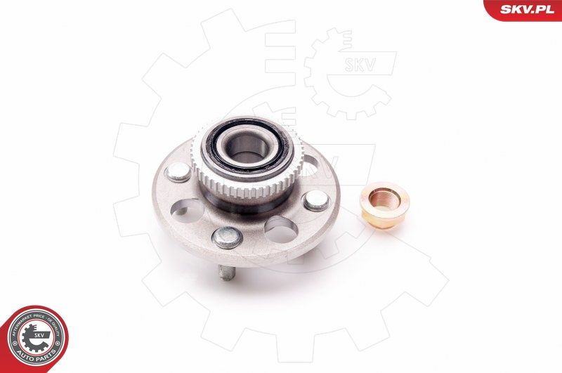 ESEN SKV 29SKV054 Wheel Bearing Kit