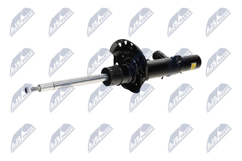 Amort, NTY A-LR-033
