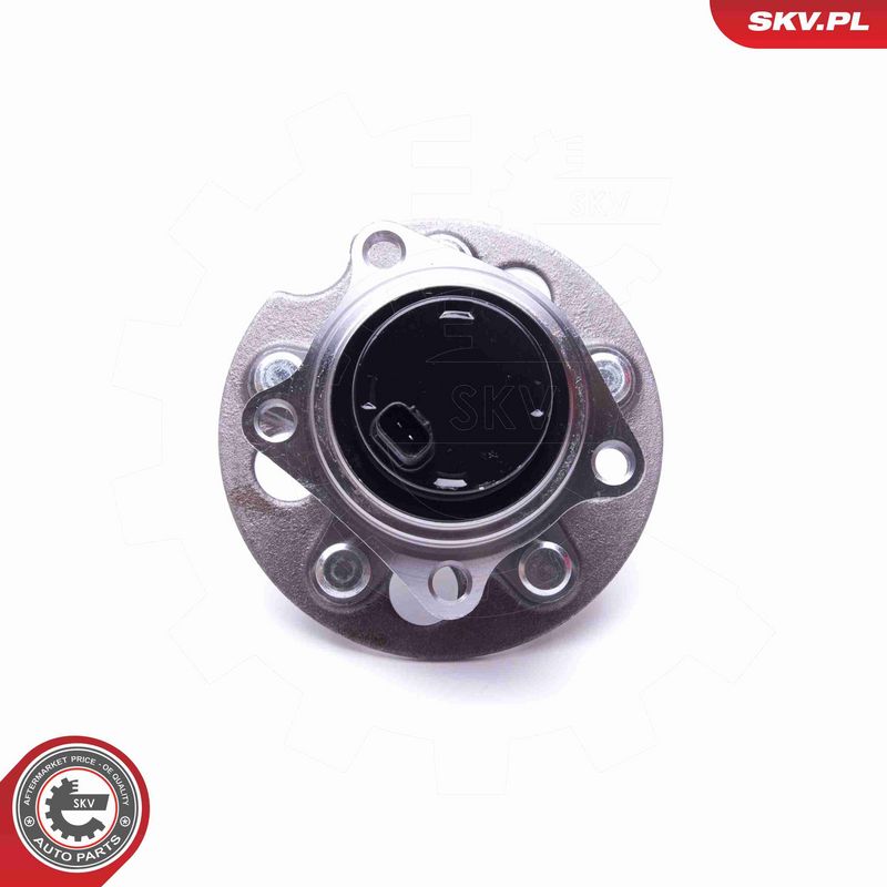 ESEN SKV 29SKV410 Wheel Bearing Kit