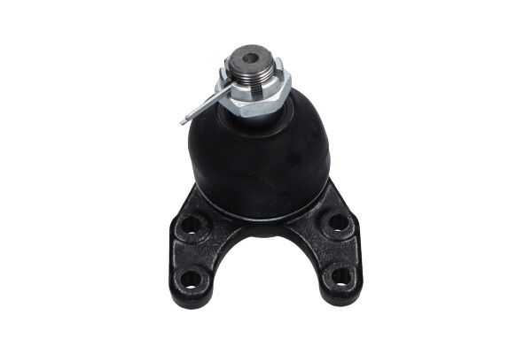 Kavo Parts Šarnyras / girgždukas