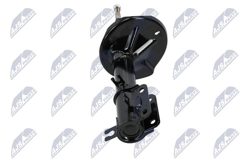 Amort, NTY A-CH-053