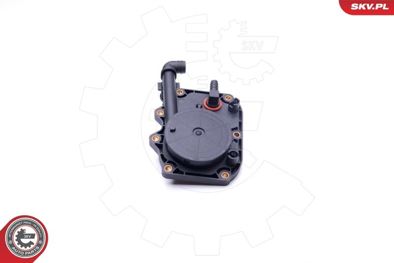 ESEN SKV 31SKV100 Repair Kit, crankcase ventilation
