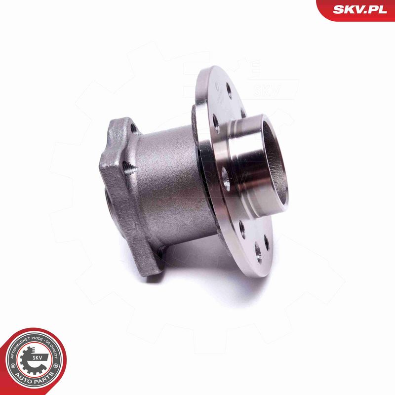 ESEN SKV 29SKV549 Wheel Bearing Kit