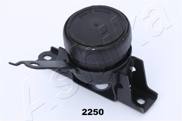 GOM-2250_1.JPG
