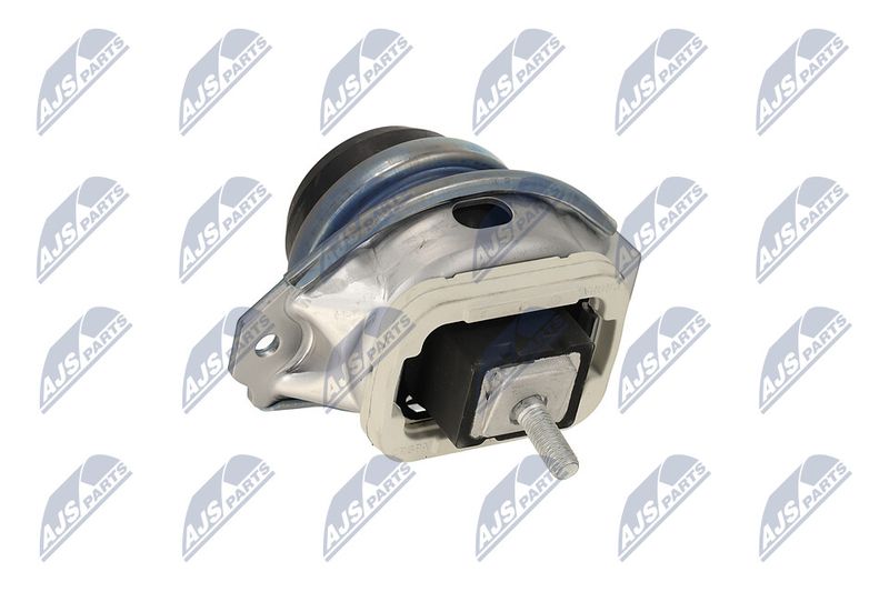 Paigutus, Mootor, NTY ZPS-LR-019