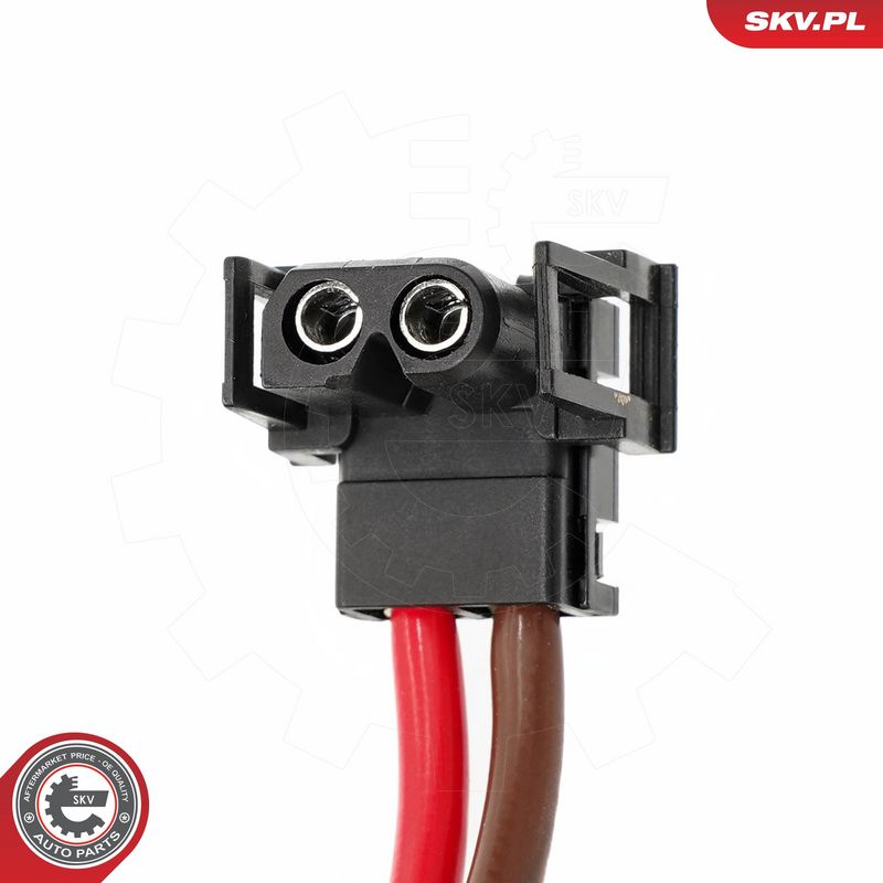 Salongipuhur, ESEN SKV...