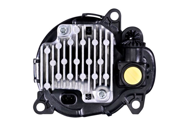 354899021_BACK_TD_1.JPG