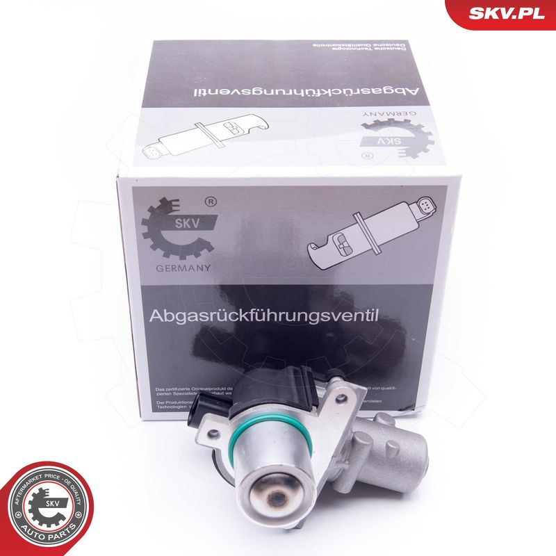 EGR-klapp, ESEN SKV 14SKV163