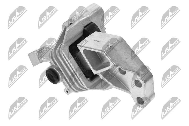 Paigutus, Mootor, NTY ZPS-FT-021