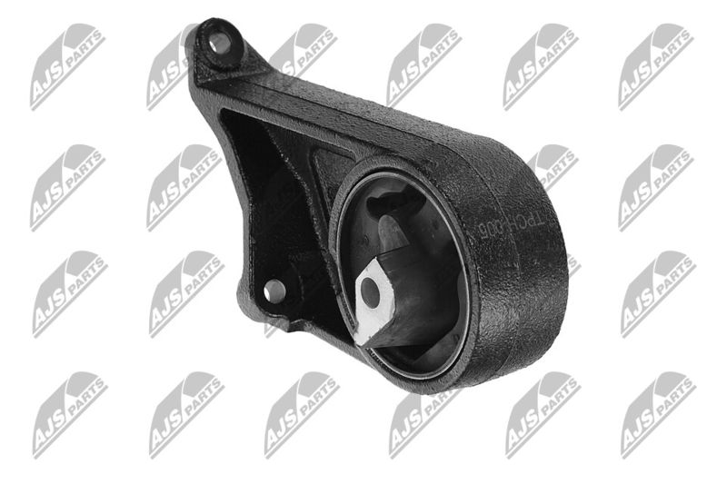 Paigutus, Mootor, NTY ZPS-CH-005