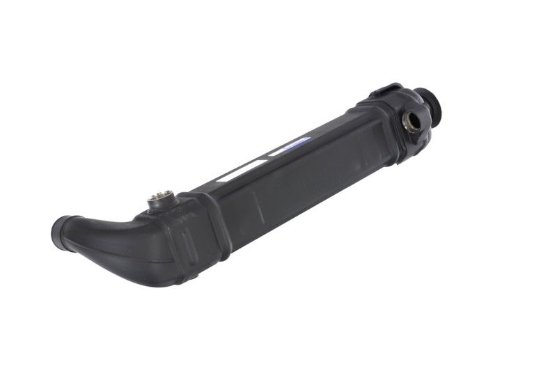 REMANTE 010-001-000025R EGR Module