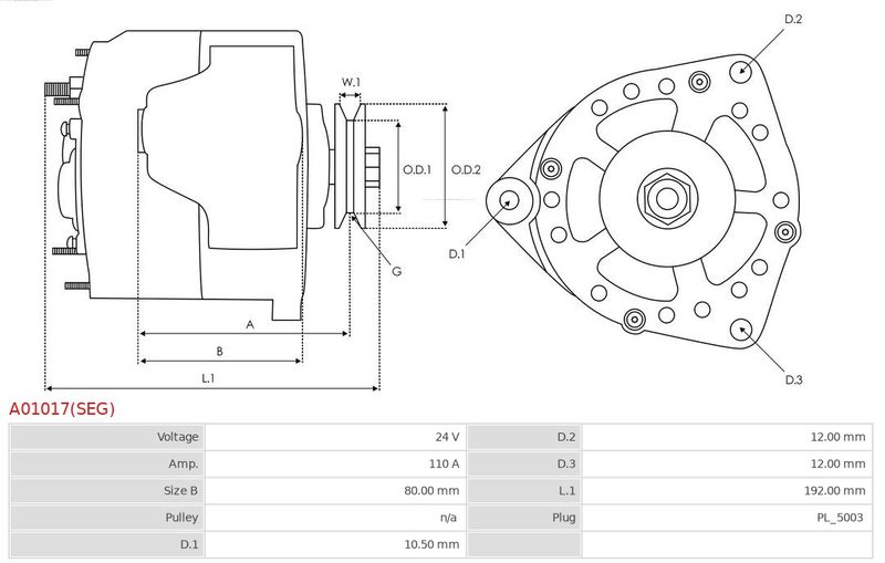 A01017(SEG)_314817.JPG