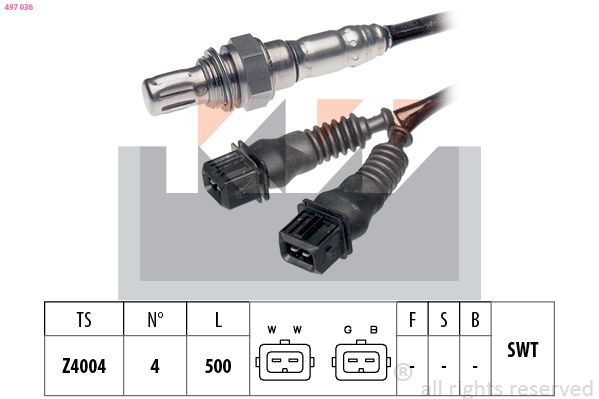 497 036-KW.JPG
