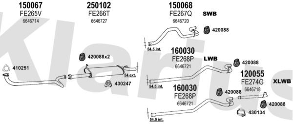 361089E.JPG