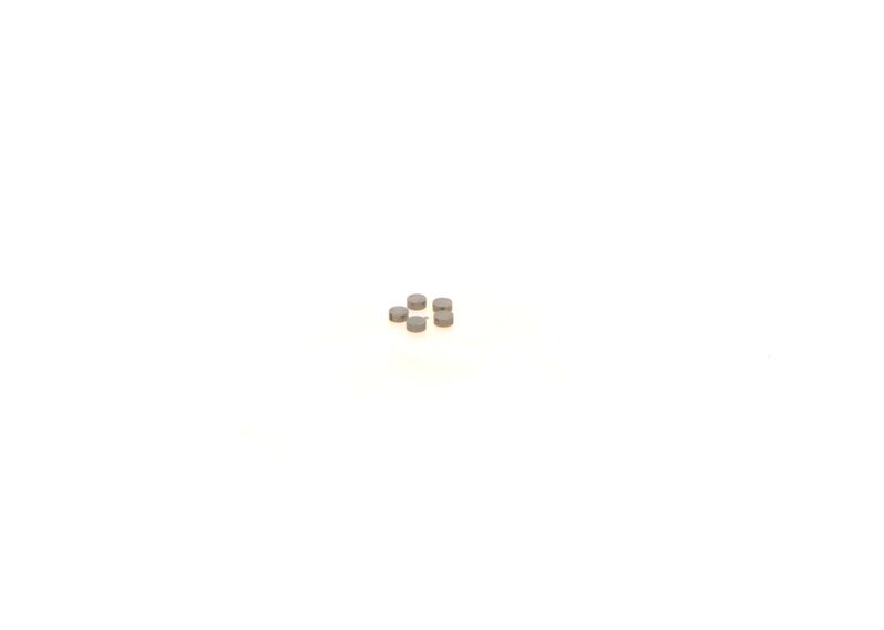 BOSCH 1410067231 Washer