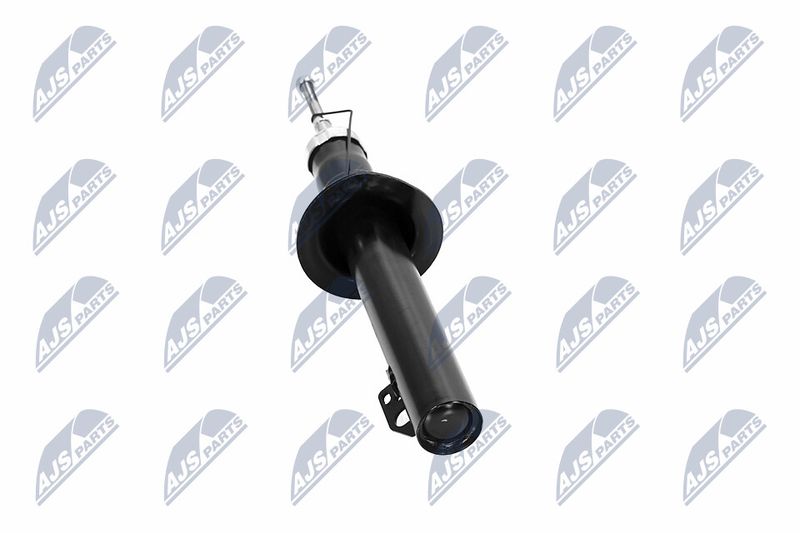 Amort, NTY A-CH-065