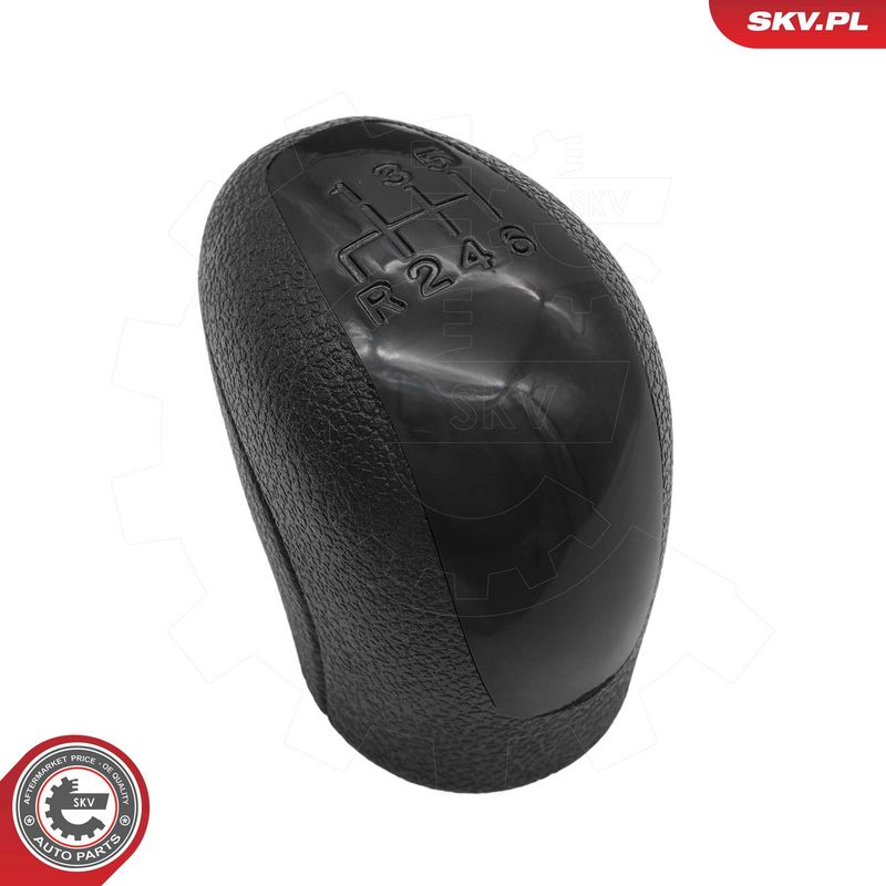 Käigukanginupp, ESEN SKV...