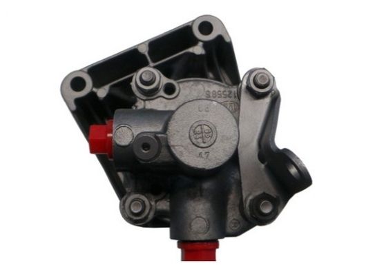 SPIDAN 53615 Hydraulic Pump, steering