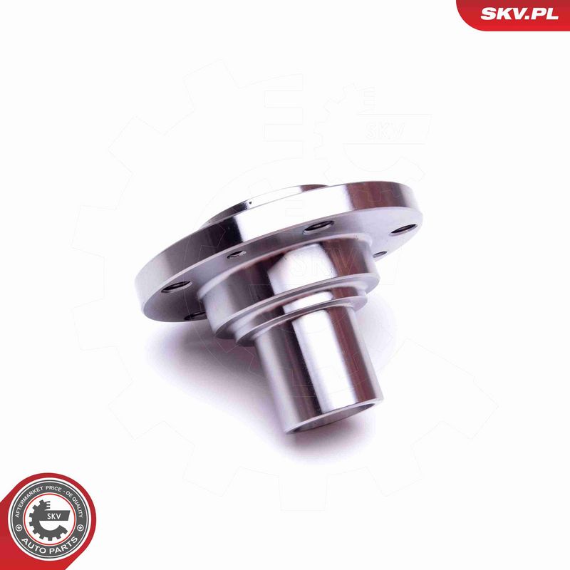 ESEN SKV 29SKV343 Wheel Bearing Kit