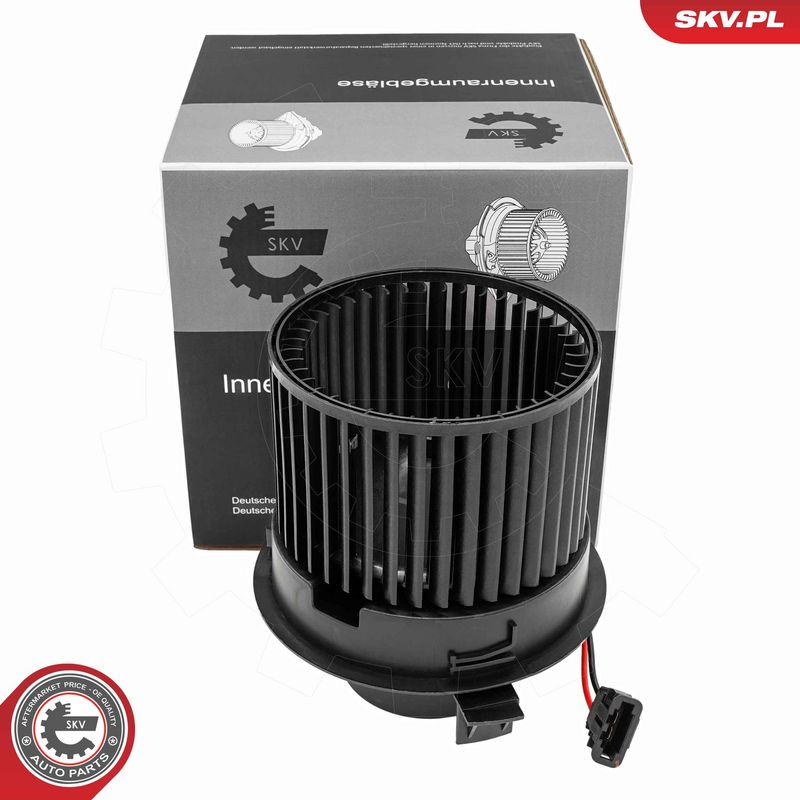 Salongipuhur, ESEN SKV...