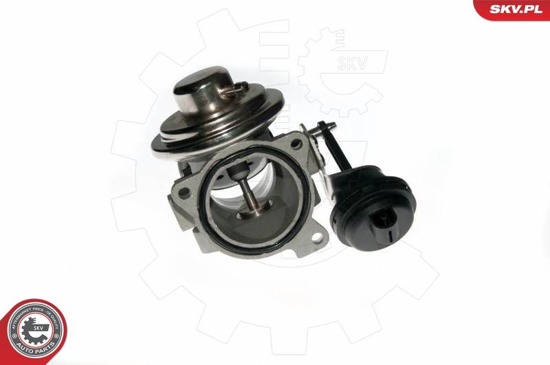 ESEN SKV 14SKV090 EGR Valve