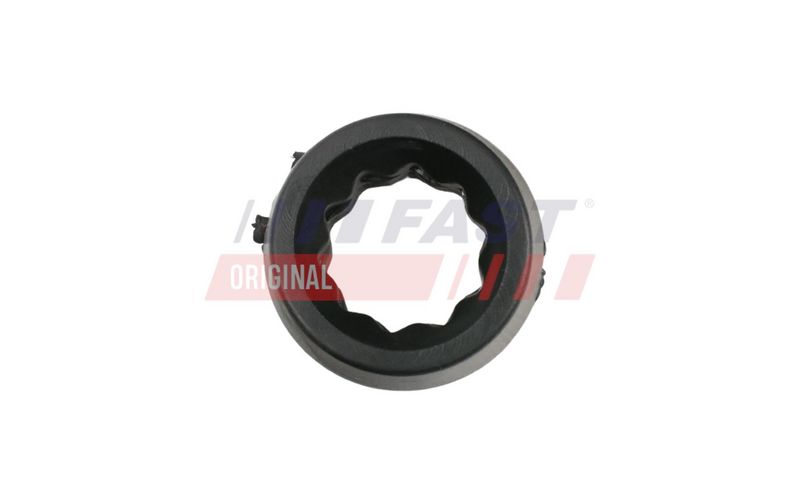 FAST FT13053 Oro filtro dėžės guma