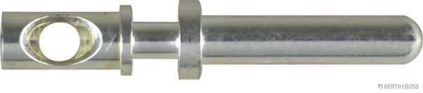 50253944.JPG