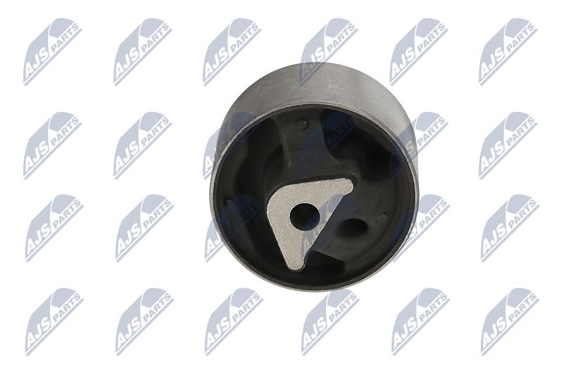 Paigutus, Mootor, NTY ZPS-CH-040