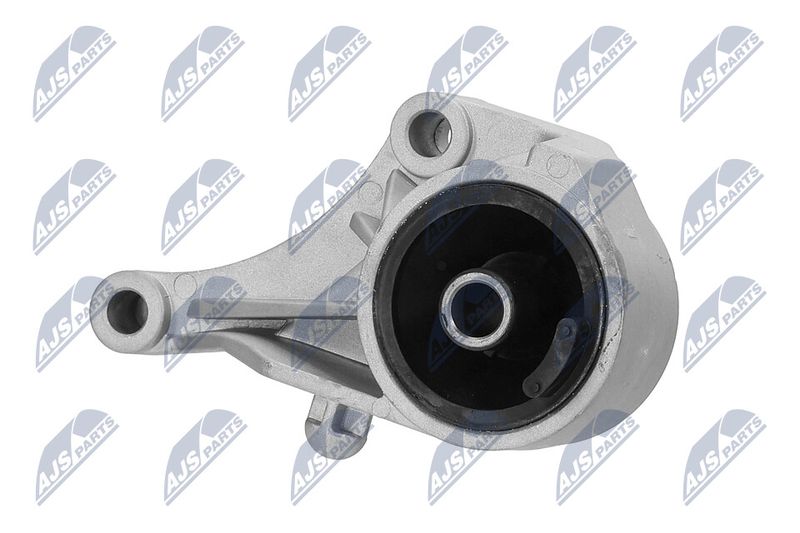 Paigutus, Mootor, NTY ZPS-PL-007