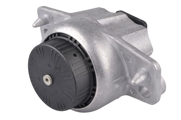 TEDGUM TED84327 Mounting, engine