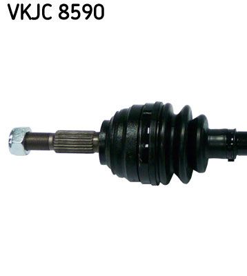 VKJC 8590_2.JPG