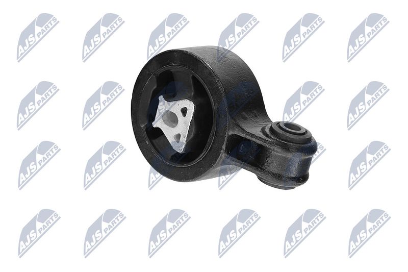 Paigutus, Mootor, NTY ZPS-CH-117