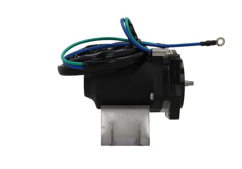 BV PSH 350.590.000.200 Electric Motor
