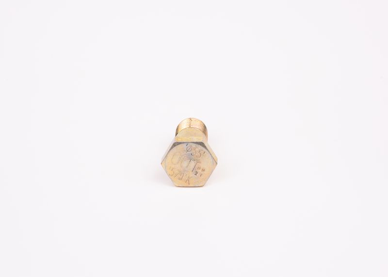 Surub F 002 D13 579 BOSCH