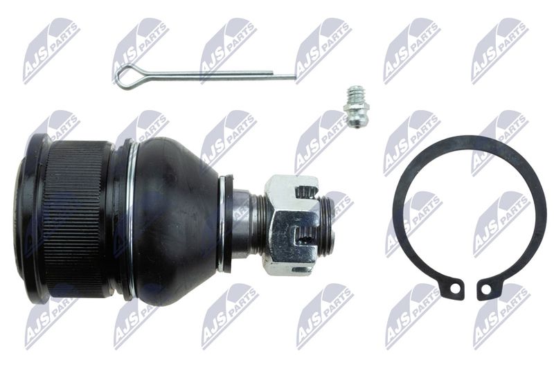 Kande-, juhtliigend, NTY ZSD-MZ-022