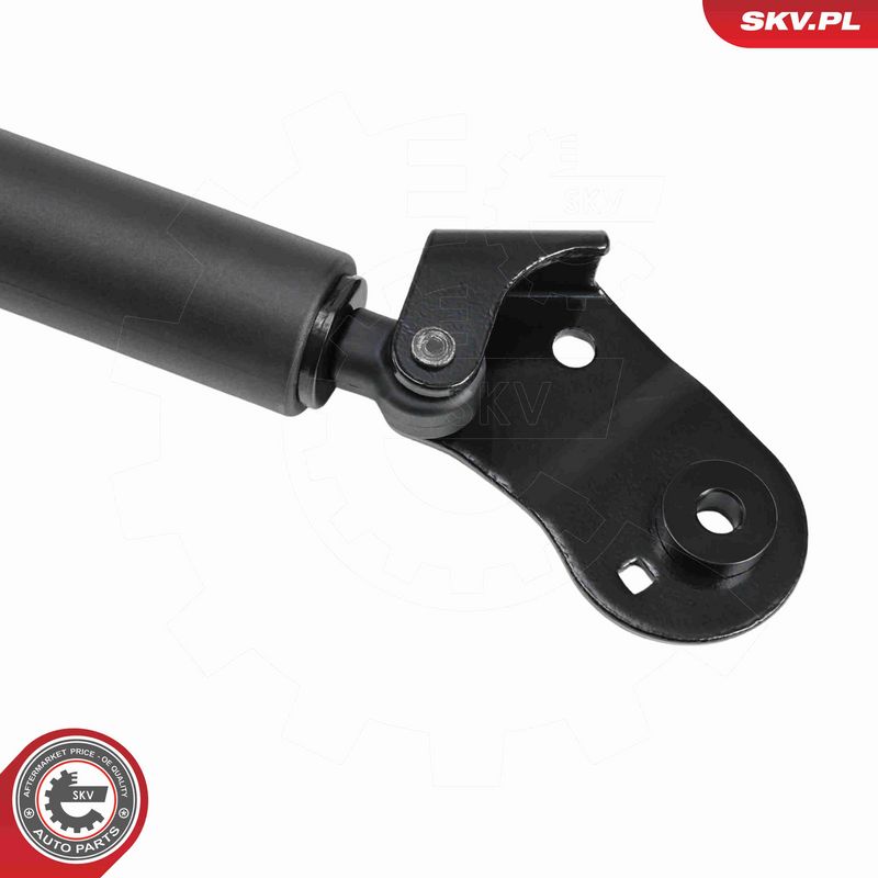 ESEN SKV 52SKV875 Electric Motor, tailgate