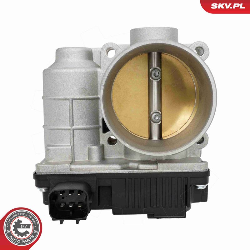 ESEN SKV 12SKV179 Throttle Body