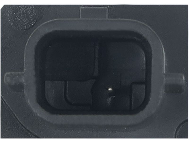 419093.JPG