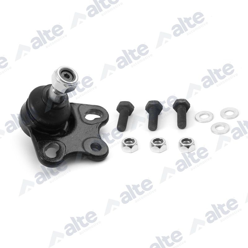 ALTE AUTOMOTIVE 82318AL Šarnyras / girgždukas