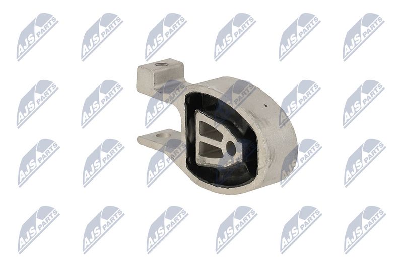 Paigutus, Mootor, NTY ZPS-FR-037