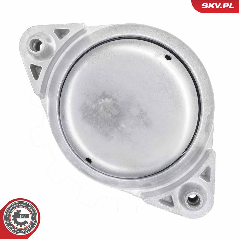 Paigutus, Mootor, ESEN SKV 75SKV328