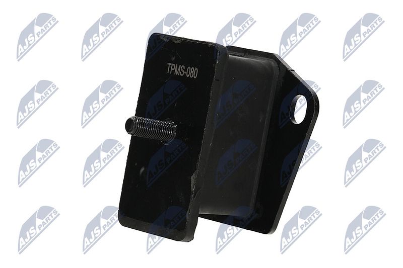 Paigutus, Mootor, NTY ZPS-MS-080