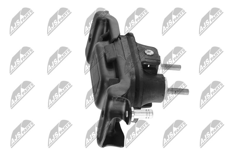 Paigutus, Mootor, NTY ZPS-CH-107