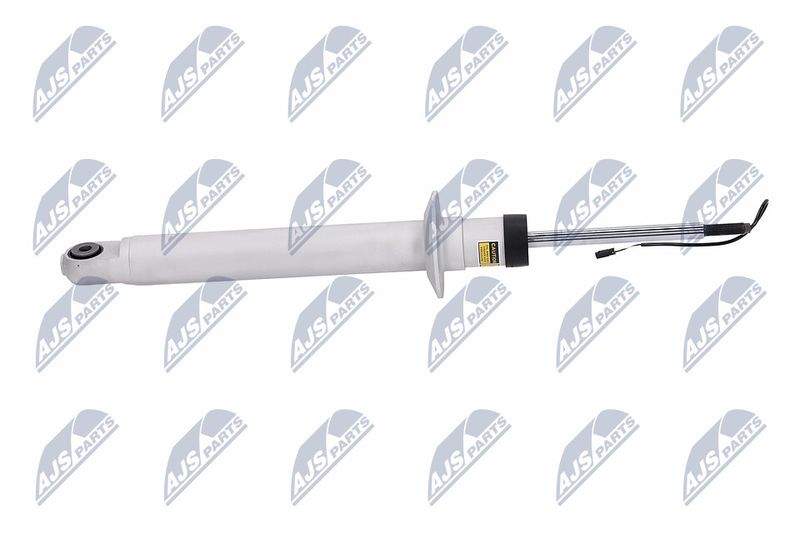 Amort, NTY A-MA-001