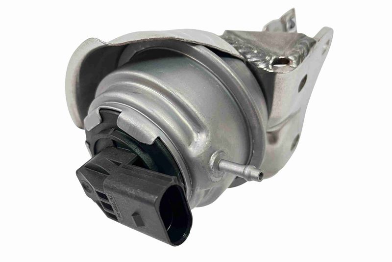 V10-40-0003_05.JPG