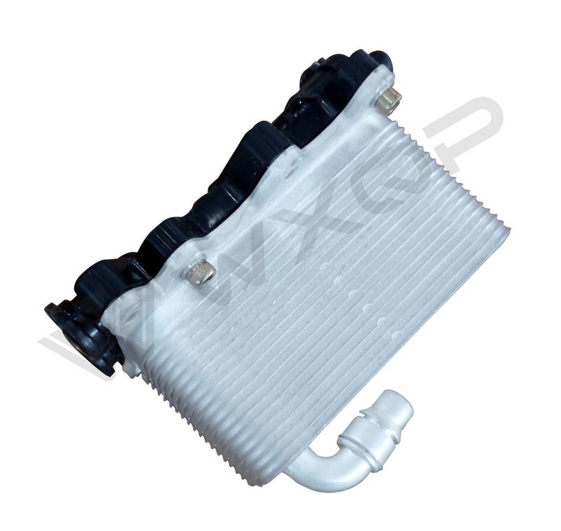 WXQP 211097 Oil Cooler, Automatic Transmission